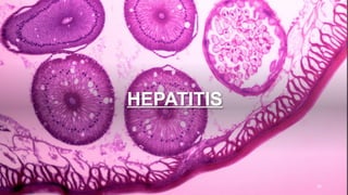 HEPATITIS
34
 