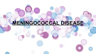 MENINGOCOCCAL DISEASE
 