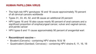 HUMAN PAPILLOMA VIRUS
• The high-risk HPV genotypes 16 and 18 cause approximately 70 percent
of all cervical cancers worldwide
• Types 31, 33, 45, 52, and 58 cause an additional 20 percent
• HPV types 16 and 18 also cause nearly 90 percent of anal cancers and a
significant proportion of oropharyngeal cancer, vulvar and vaginal cancer,
and penile cancer
• HPV types 6 and 11 cause approximately 90 percent of anogenital wart
• Recombinant vaccine –
• Bivalent (Cervarix) - containing HPV strains 16 & 18
• Quadrivalent (Gardasil, Cervavac) – containing HPV strains 6, 11, 16, 18
 