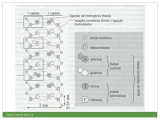 Nuno Correia 2013-14
 