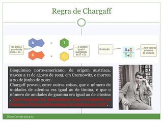 Regra de Chargaff
Nuno Correia 2013-14
Bioquímico norte-americano, de origem austríaca,
nasceu a 11 de agosto de 1905, em Czernowitz, e morreu
a 20 de junho de 2002.
Chargaff provou, entre outras coisas, que o número de
unidades de adenina era igual ao de timina, e que o
número de unidades de guanina era igual ao de citosina
. Este resultado foi determinante para os trabalhos de
Watson e Crick na determinação da estrutura do ADN.
 