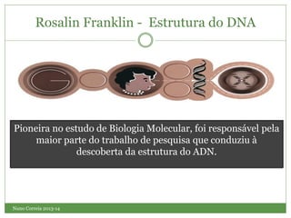 Nuno Correia 2013-14
Rosalin Franklin - Estrutura do DNA
Pioneira no estudo de Biologia Molecular, foi responsável pela
maior parte do trabalho de pesquisa que conduziu à
descoberta da estrutura do ADN.
 