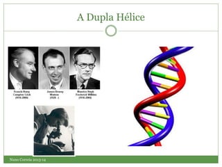 Nuno Correia 2013-14
A Dupla Hélice
 