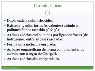Características
Nuno Correia 2013-14
 Dupla cadeia polinucleotídica.
 Existem ligações fortes (covalentes) unindo os
polinucleótidos (sentido 5´ 3`)
 As duas cadeias estão unidas por ligações fracas (de
hidrogénio) entre as bases azotadas.
 Forma uma molécula enrolada.
 As bases emparelham de forma complementar de
acordo com a regra de Chargaff.
 As duas cadeias são antiparalelas.
 