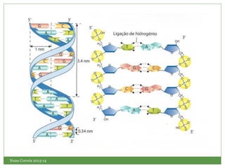 Nuno Correia 2013-14
 