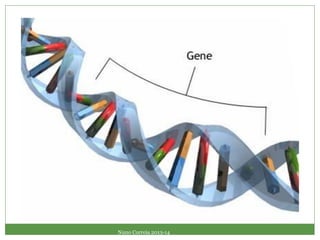 Nuno Correia 2013-14
 