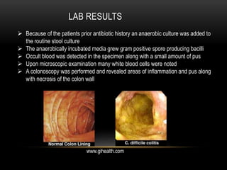 LAB RESULTS 
 Because of the patients prior antibiotic history an anaerobic culture was added to 
the routine stool culture 
 The anaerobically incubated media grew gram positive spore producing bacilli 
 Occult blood was detected in the specimen along with a small amount of pus 
 Upon microscopic examination many white blood cells were noted 
 A colonoscopy was performed and revealed areas of inflammation and pus along 
with necrosis of the colon wall 
www.gihealth.com 
 