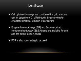 Identification 
 Cell cytotoxicity assays are considered the gold standard 
test for detection of C. difficile toxin by observing the 
cytopathic effects of the toxin in cell culture 
 Enzyme ImmunoAssays (EIA) and Enzyme-Linked 
Immunosorbent Assay (ELISA) tests are available for use 
and can detect toxins A and B 
 PCR is also now starting to be used 
 