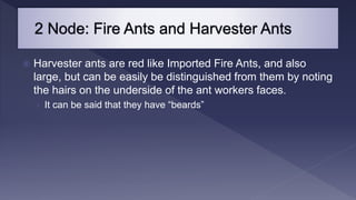  Particular attention should be paid to any recurring issue that
ants seem attracted to.
 If an ant problem continues wi...