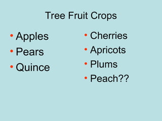 Tree Fruit Crops
• Apples
• Pears
• Quince
• Cherries
• Apricots
• Plums
• Peach??
 