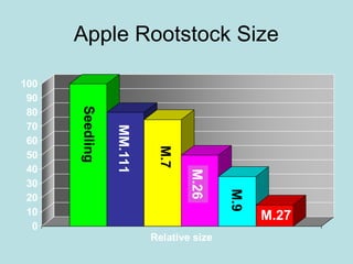 Apple Rootstock Size
0
10
20
30
40
50
60
70
80
90
100
Relative size
Seedling
MM.111
M.7
M.26
M.9
M.27
 