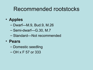 Recommended rootstocks
• Apples
– Dwarf—M.9, Bud.9, M.26
– Semi-dwarf—G.30, M.7
– Standard—Not recommended
• Pears
– Domestic seedling
– OH x F 57 or 333
 