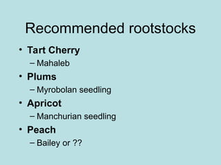 Recommended rootstocks
• Tart Cherry
– Mahaleb
• Plums
– Myrobolan seedling
• Apricot
– Manchurian seedling
• Peach
– Bailey or ??
 