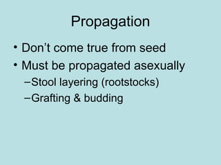 Propagation
• Don’t come true from seed
• Must be propagated asexually
–Stool layering (rootstocks)
–Grafting & budding
 