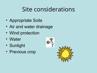 Site considerations
• Appropriate Soils
• Air and water drainage
• Wind protection
• Water
• Sunlight
• Previous crop
 