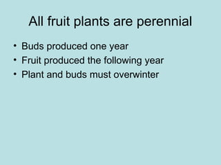 All fruit plants are perennial
• Buds produced one year
• Fruit produced the following year
• Plant and buds must overwinter
 