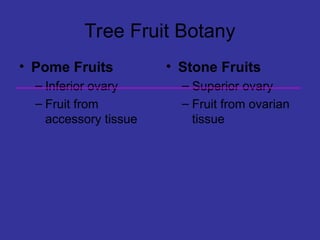 Tree Fruit Botany
• Pome Fruits
– Inferior ovary
– Fruit from
accessory tissue
• Stone Fruits
– Superior ovary
– Fruit from ovarian
tissue
 