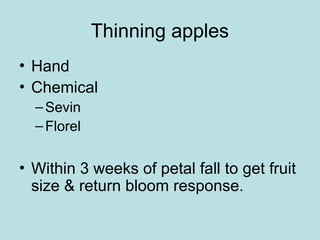 Thinning apples
• Hand
• Chemical
–Sevin
–Florel
• Within 3 weeks of petal fall to get fruit
size & return bloom response.
 