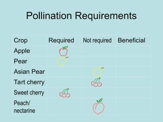 Pollination Requirements
Crop Required Not required Beneficial
Apple
Pear
Asian Pear
Tart cherry
Sweet cherry
Peach/
nectarine
 