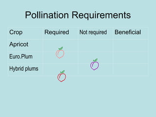 Pollination Requirements
Crop Required Not required Beneficial
Apricot
Euro.Plum
Hybrid plums
 