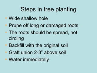 Steps in tree planting
• Wide shallow hole
• Prune off long or damaged roots
• The roots should be spread, not
circling
• Backfill with the original soil
• Graft union 2-3” above soil
• Water immediately
 
