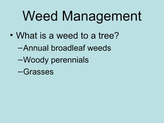 Weed Management
• What is a weed to a tree?
–Annual broadleaf weeds
–Woody perennials
–Grasses
 