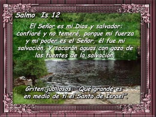 Salmo Is 12
    El Señor es mi Dios y salvador:
confiaré y no temeré, porque mi fuerza
   y mi poder es el Señor, él fue mi
salvación. Y sacarán aguas con gozo de
      las fuentes de la salvación.




  Griten jubilosos: “Qué grande es
  en medio de ti el Santo de Israel”.
 