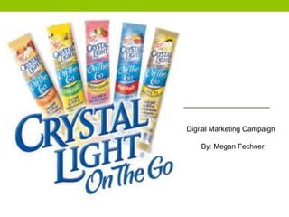 Digital Marketing Campaign
By: Megan Fechner

 