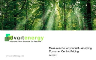 Make a niche for yourself - Adopting Customer Centric Pricing Jan 2011 advait energy Affordable Clean Solutions. For Everyone. 