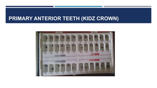 PRIMARY ANTERIOR TEETH (KIDZ CROWN)
 