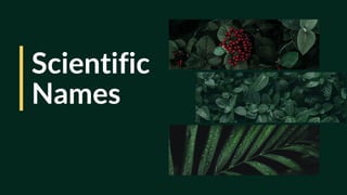 Scientific
Names
 