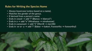 • Always lowercase (unless based on a name).
• Matches the gender of the genus.
• If derived from a person’s name:
• Ends in vowel → add “i” (Blanco → blancoi*)
• Ends in a → add “e” (Minahassa → minahassae)
• Ends in consonant → add “ii” (Merrill → merrillii)
• Ends in -er or -y → add “i” (Baker → bakeri, Foxworthy → foxworthyi)
Rules for Writing the Species Name
 