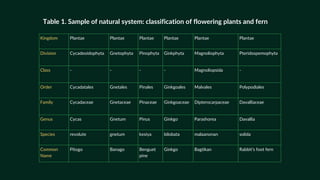 Kingdom Plantae Plantae Plantae Plantae Plantae Plantae
Division Cycadeoidophyta Gnetophyta Pinophyta Ginkphyta Magnoliophyta Pteridospemophyta
Class - - - - Magnoliopsida -
Order Cycadatales Gnetales Pinales Ginkgoales Malvales Polypodiales
Family Cycadaceae Gnetaceae Pinaceae Ginkgoaceae Dipterocarpaceae Davalliaceae
Genus Cycas Gnetum Pinus Ginkgo Parashorea Davallia
Species revolute gnetum kesiya bilobata malaanonan solida
Common
Name
Pitogo Banago Benguet
pine
Ginkgo Bagtikan Rabbit’s foot fern
Table 1. Sample of natural system: classification of flowering plants and fern
 