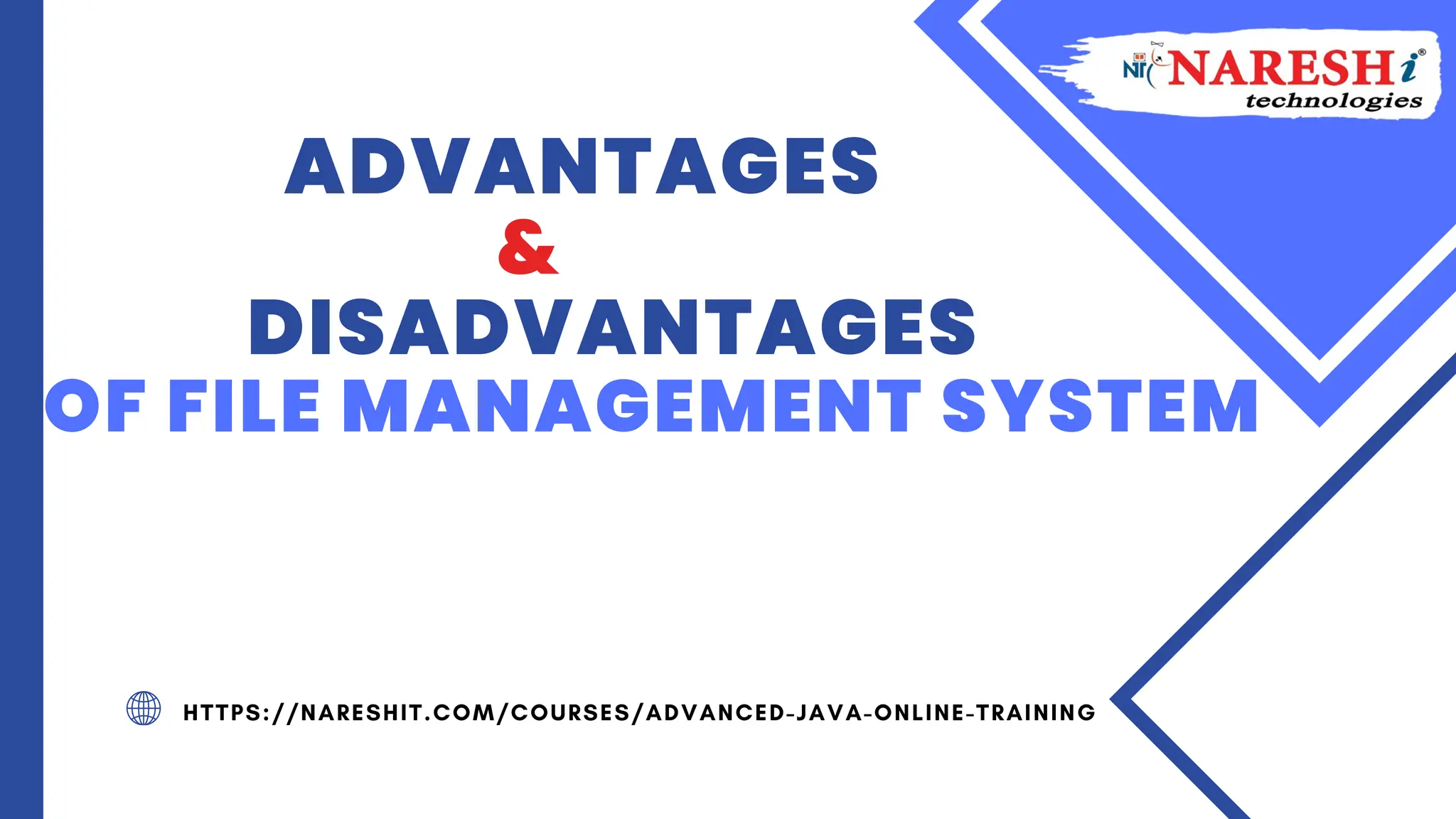 Advantages & Disadvantages of File Management System | PDF