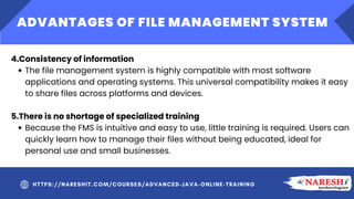 Advantages & Disadvantages of File Management System | PDF | Operating ...