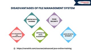 Advantages & Disadvantages of File Management System | PDF
