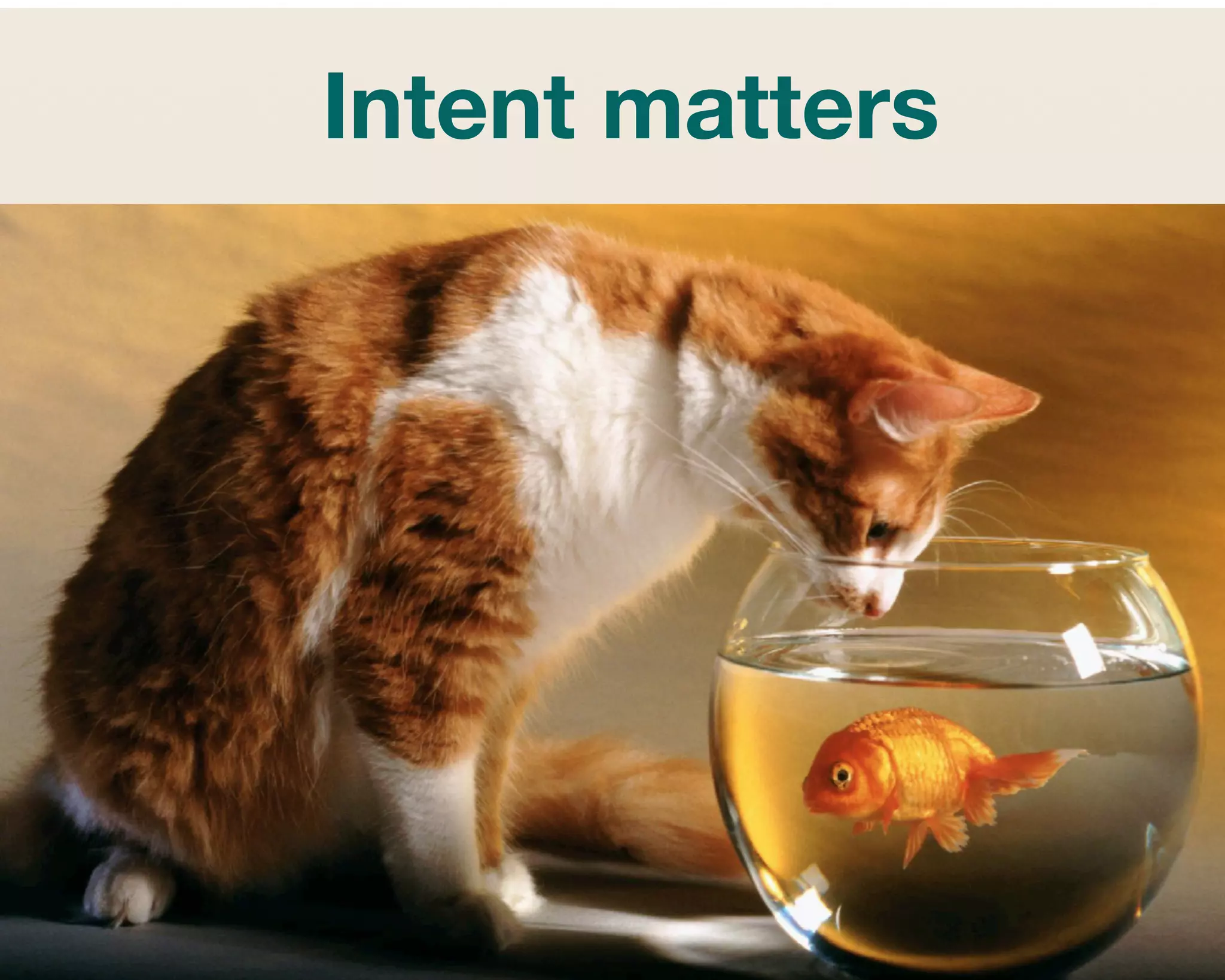 Intent matters 
 