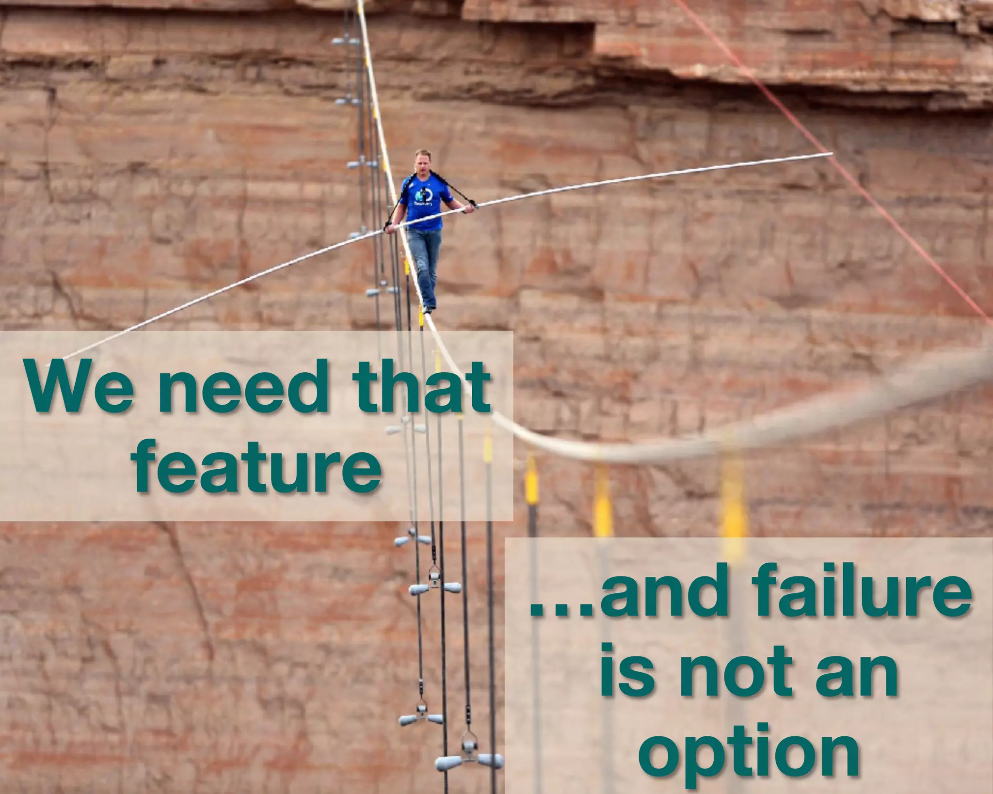 We need that 
feature 
…and failure 
is not an 
option 
 