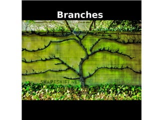 Branches
●   Only one branch can be checked out
     –   trunk ~= master
●   show all branches
     –   git branch -a
●   ...