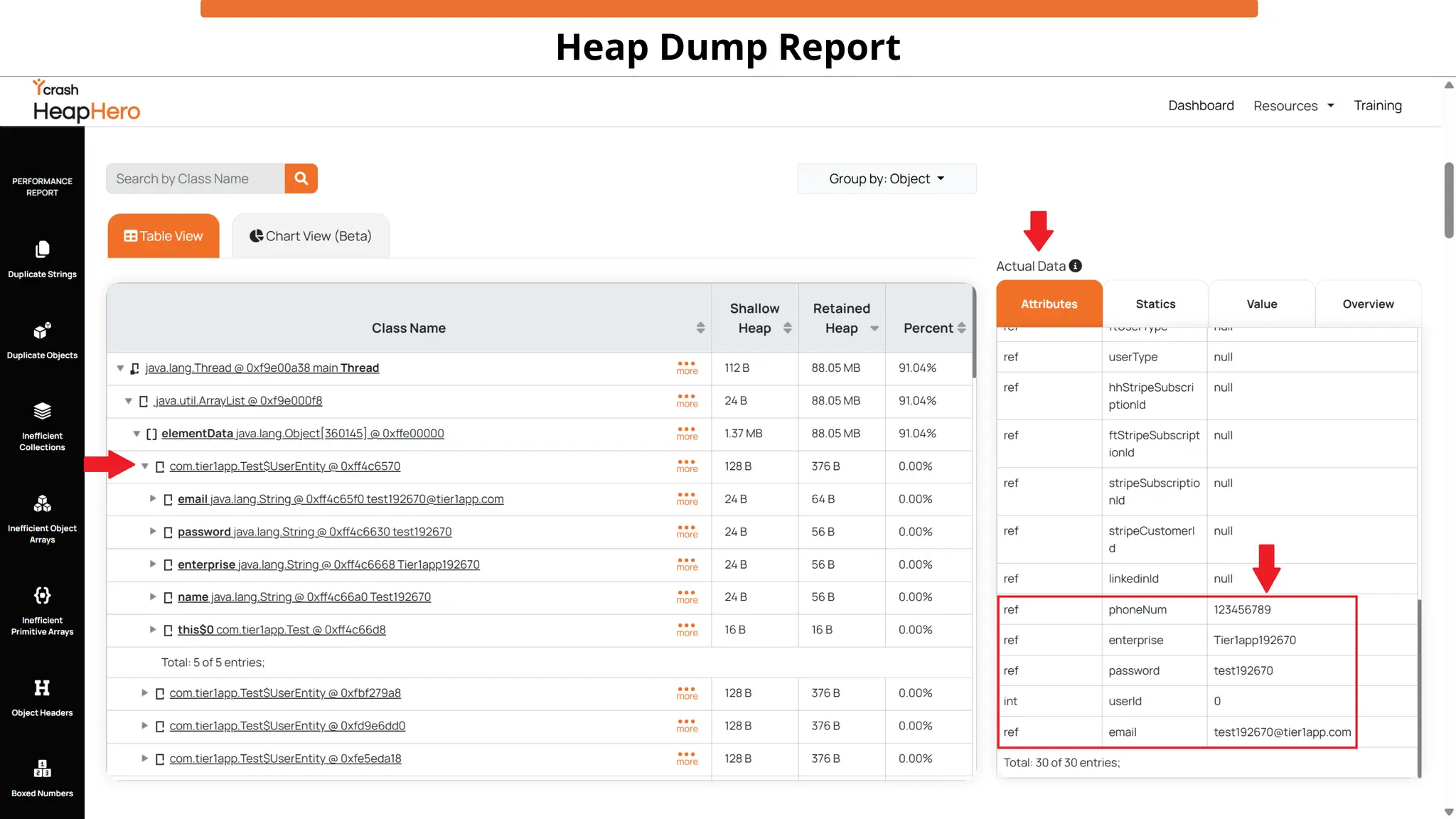 Heap Dump Report
 