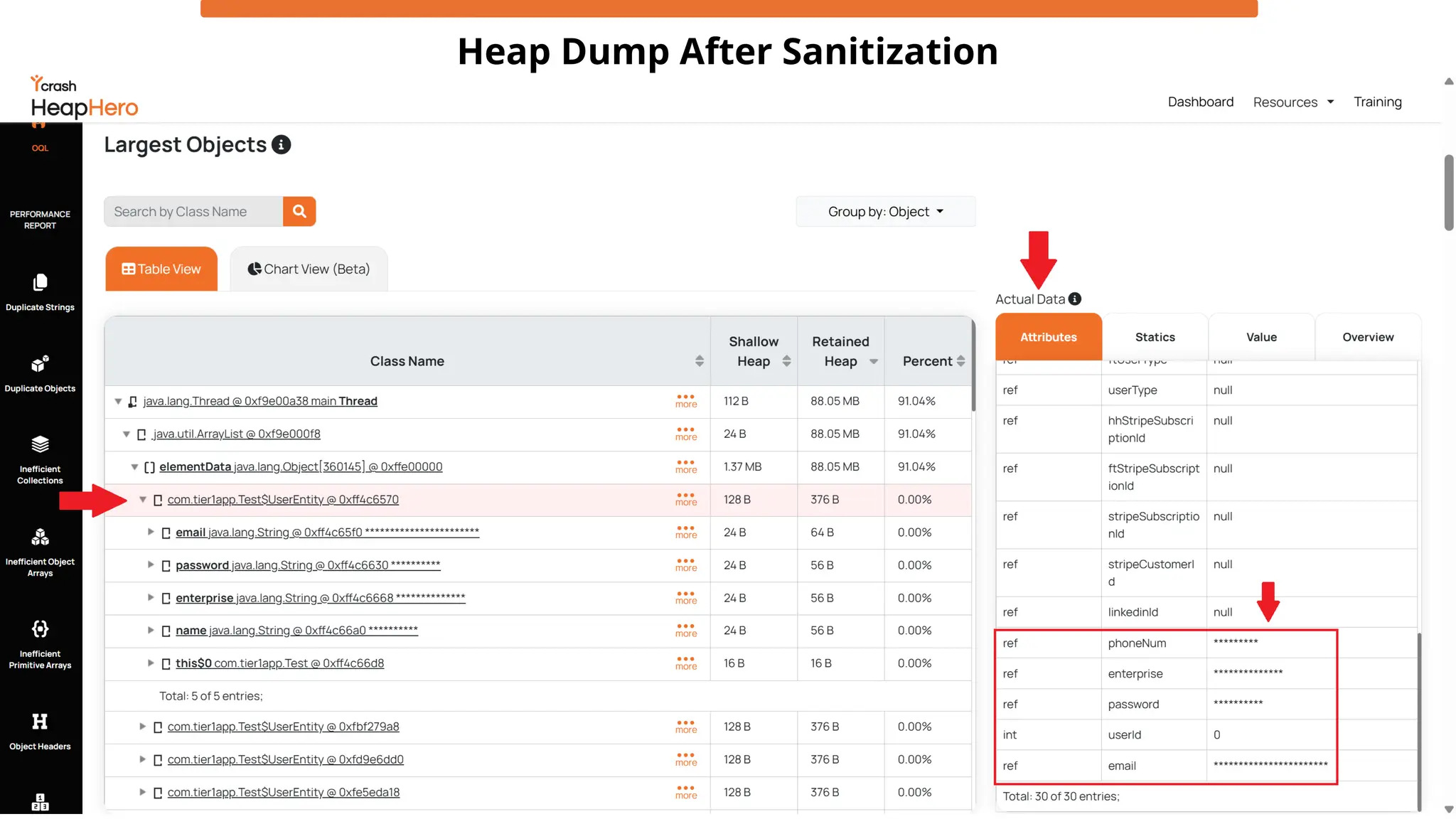 Heap Dump After Sanitization
 