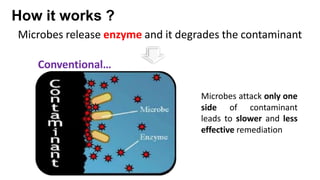 Advanced-Microorganism-remediation process.pdf