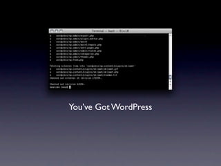You’ve Got WordPress
 