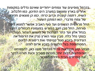 בכרמל מופיעים עוד צמחים ייחודיים שאינם גדלים במקומות אחרים בארץ ומוצאם במערב הים התיכון ,  כמו  חלבלוב השיח ,  רתמה קוצנית   וכרוב כרתי .  כמו כן מוצאים  חדירה של צמח מדברי ,  הוא  המתנן השעיר . החל מראשית הגשמים ועד סוף האביב אפשר למצוא פינה פורחת ,  החל  מבן חצב החורש  בפעמוניו הכחולים המצוי בנחל אלון ועד כתר המלכות של  השושן הצחור  המולך בצוקי נחל כלח .  מבין ענווי הארץ נציין את  הרומוליאה הצידונית  בצבע סגול קטיפתי ואת  רימונית הלוטם  המסתופפת בצל הלטמים בצבע אדום לוהט .  מבחר קטן מנפלאות פרחי הכרמל מוצג כאן ,  להבטיחנו שהפתעות רבות יותר מצויות מסביב וכעת תורנו לבקר את הפרחים בבית גידולם הטבעי . 