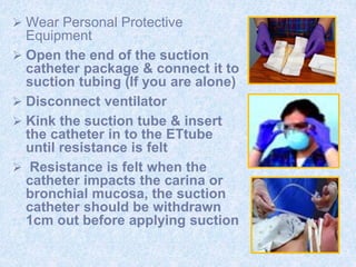  Wear Personal Protective
Equipment
 Open the end of the suction
catheter package & connect it to
suction tubing (If you are alone)
 Disconnect ventilator
 Kink the suction tube & insert
the catheter in to the ETtube
until resistance is felt
 Resistance is felt when the
catheter impacts the carina or
bronchial mucosa, the suction
catheter should be withdrawn
1cm out before applying suction
 