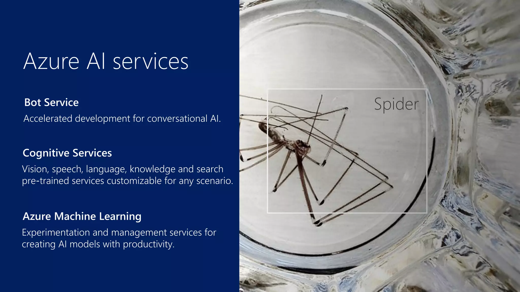 Azure Machine Learning
Cognitive Services
Bot Service
 