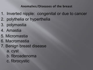 Advanced Anatomy of the Mammary Gland.pptx
