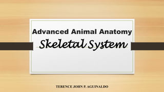 Advanced Animal Anatomy.pptxhfgfggjhjjkj | PPTX