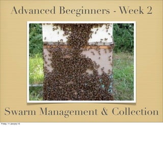 Advanced Beeginners - Week 2




   Swarm Management & Collection
Friday, 11 January 13
 