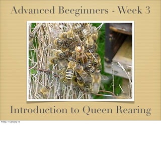 Advanced Beeginners - Week 3




         Introduction to Queen Rearing
Friday, 11 January 13
 